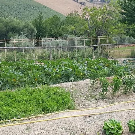 Fiore Di Campo Séjour à la ferme Fermo